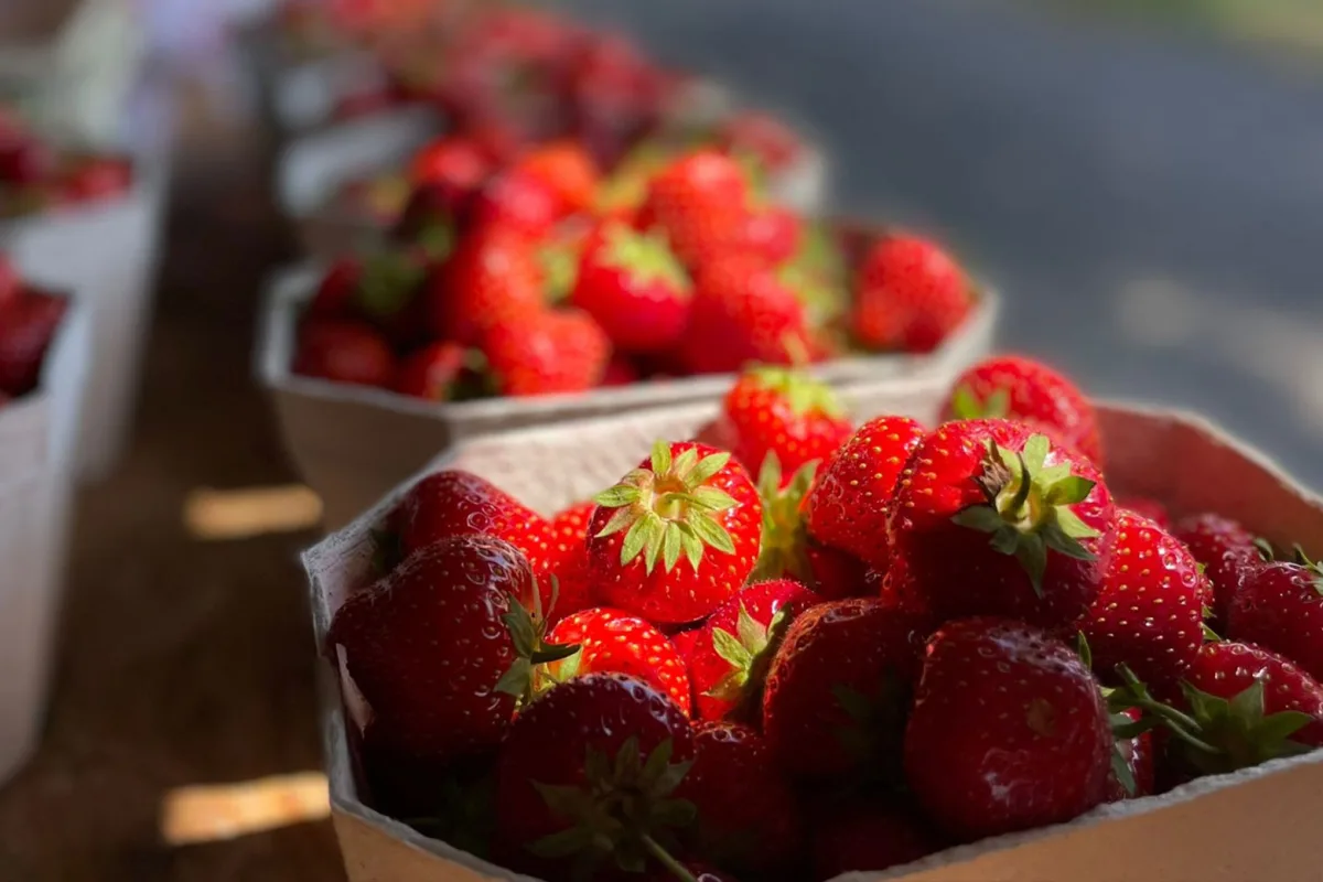 thumb_produkte_erdbeeren.jpg